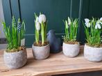 Tulpen op overpot kunst, Huis en Inrichting, *, *, Nieuw, Ophalen of Verzenden