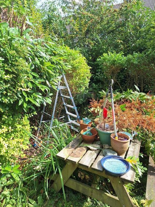 Tuinhulp Utrecht, Tuin en Terras, Overige Tuin en Terras, Nieuw, Ophalen