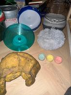 Knaagdieren set, Dieren en Toebehoren, Ophalen of Verzenden, Zo goed als nieuw