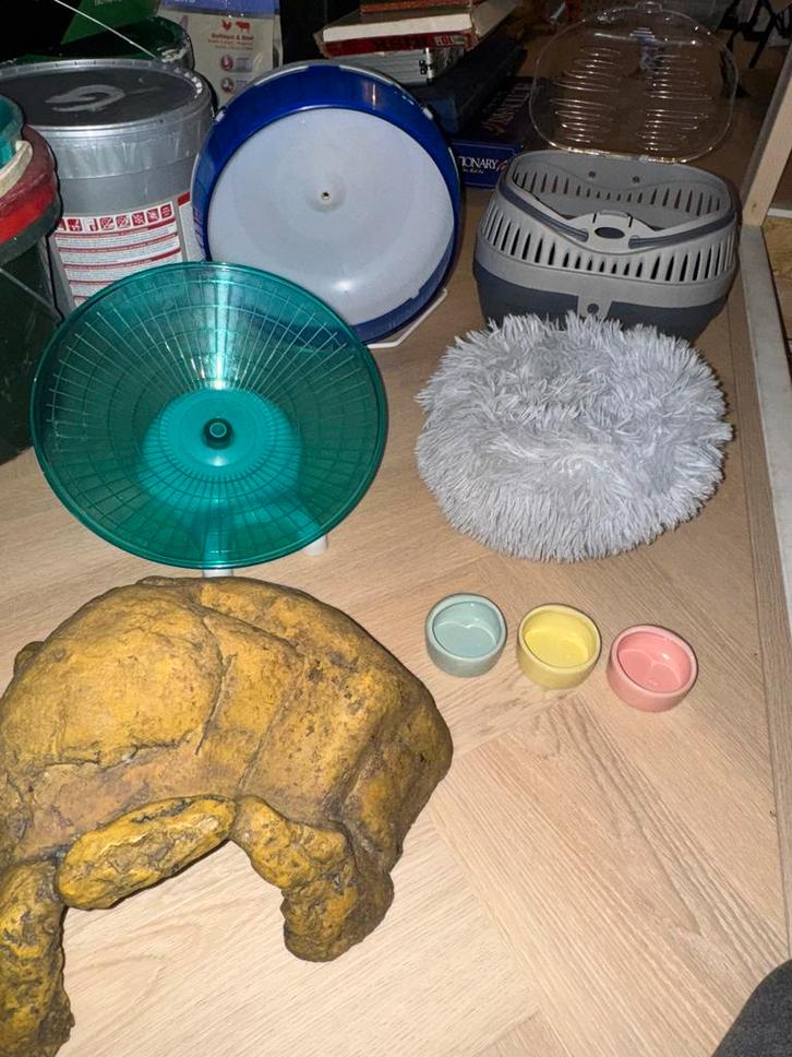 Knaagdieren set, Dieren en Toebehoren, Knaagdieren en Konijnen | Toebehoren, Zo goed als nieuw, Ophalen of Verzenden