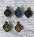 ANWB speldje's, Ophalen of Verzenden, Gebruikt, Overige onderwerpen, Speldje of Pin