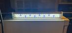 Led lampje voir aquarium, Dieren en Toebehoren, Vissen | Aquaria en Toebehoren, Ophalen of Verzenden, Verlichting of Verwarming