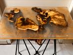 Boomstam Bijzettafel Epoxy - Uniek!, Ophalen of Verzenden