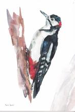 Michelle Dujardin - Nederlandse spechten – bonte specht, Verzenden, 1980 tot heden, Ongelopen, Natuur