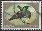 Zambia 1994 - Yvert 593 - Bouviers honingzuiger (ST), Postzegels en Munten, Postzegels | Afrika, Zambia, Ophalen, Gestempeld