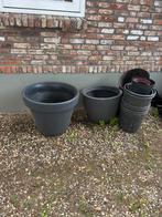 Planten potten GRATIS, Ophalen, Minder dan 30 cm, Minder dan 60 cm, Rond