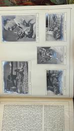 Twee zeldzame natuurboeken over Artis – 1938 & 1950s, Ophalen of Verzenden, Gelezen, Natuur algemeen