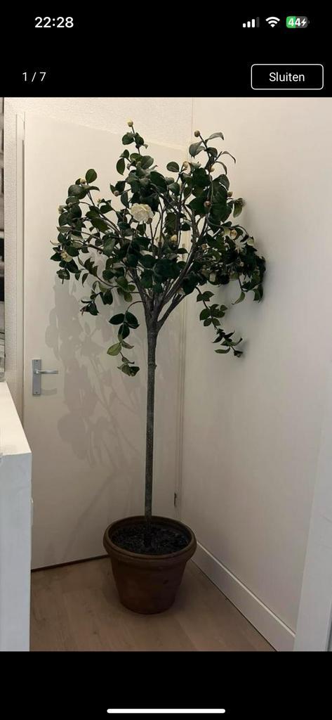 Flamant, zijden kunstboom, camelia, Huis en Inrichting, Woonaccessoires | Kunstplanten en Kunstbloemen, Zo goed als nieuw, Binnen