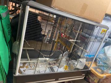 /vogelkooi beschikbaar voor biedingen
