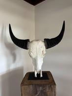 Echte bizon schedel op standaard – 70x70 cm, Ophalen, Zo goed als nieuw