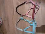 Halsters, Dieren en Toebehoren, Ophalen, Gebruikt, Overige soorten