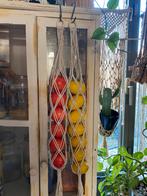 Plant en fruit hangen, Ophalen of Verzenden, Nieuw
