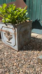 Gietijzeren bloembak met blauwe patina - 40x40x40 cm, Gebruikt, Minder dan 60 cm, Vierkant, Nvt