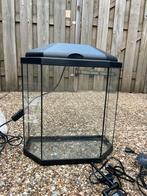 Aquarium met toebehoren, Ophalen, Gebruikt, Leeg aquarium