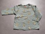 Shirtje HEMA Maat 62 - Groen met ganzen, Jongetje of Meisje, Ophalen of Verzenden, Zo goed als nieuw, Hema