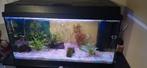 Aquarium 80 x 35 x 40 cm met kast en accesoires, Ophalen, Leeg aquarium
