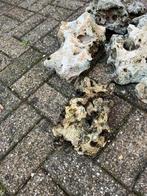 Aquarium stenen, Ophalen, Zo goed als nieuw, Plant(en), Steen of Hout