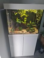 Juwel Lido 200  en zeer compleet, Dieren en Toebehoren, Vissen | Aquaria en Toebehoren, Ophalen, Gebruikt, Gevuld zoetwateraquarium
