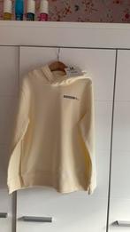 Nieuwe Raizzed trui maat 140, Kinderen en Baby's, Kinderkleding | Maat 146, Ophalen of Verzenden, Nieuw, Jongen, Trui of Vest