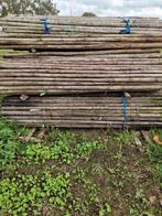 Boompalen 2,5 meter + Boomband, Ophalen, Gebruikt, 250 cm of meer, Palen