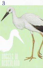 Ansichtkaart Vogels in Nederland Ooievaar Erfvogel ( B3930, Ophalen of Verzenden, 1980 tot heden, Ongelopen