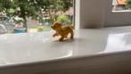 1 schleich hond tekoop, Ophalen of Verzenden, Gebruikt
