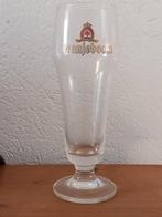 bierglas oranjeboom, Ophalen of Verzenden, Nieuw, Glas of Glazen, Oranjeboom