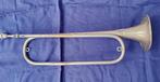 Natuurtrompet ? - Cavalerie-trompet ? leuk als decoratie, Antiek en Kunst, Ophalen of Verzenden