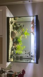 Aquarium 70liter, Dieren en Toebehoren, Ophalen, Zo goed als nieuw, Leeg aquarium