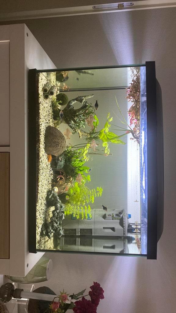 Aquarium 70liter, Dieren en Toebehoren, Vissen | Aquaria en Toebehoren, Zo goed als nieuw, Leeg aquarium, Ophalen