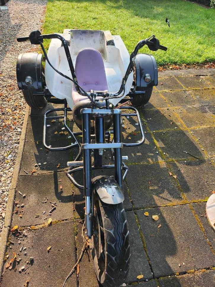 Trike rijwielgedeelte., Motoren, Onderdelen | Overige, Gebruikt, Ophalen