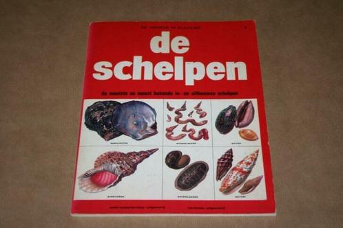 Plaatjesalbum - De Schelpen, Boeken, Prentenboeken en Plaatjesalbums, Gelezen, Plaatjesalbum, Ophalen of Verzenden