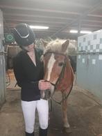 Bijrijder/verzorger aangeboden, Dieren en Toebehoren, Ophalen of Verzenden