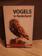 Vogels in Nederland - Postcodeloterij Natuurgids, Ophalen of Verzenden, Zo goed als nieuw, Vogels, Postcodeloterij