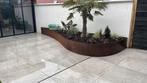 Cortenstaal planten, Ophalen of Verzenden, Zo goed als nieuw