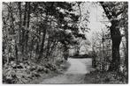 Havelte Centrum De Overkant gelopen oude ansichtkaart A2433, Verzamelen, Ophalen of Verzenden, 1940 tot 1960, Gelopen