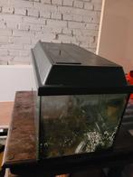 Aquarium 60x30x30cm, Dieren en Toebehoren, Gebruikt, Ophalen, Leeg aquarium