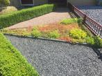 Groen in uw tuin makkelijk met Sedum matten van 120x80 cm