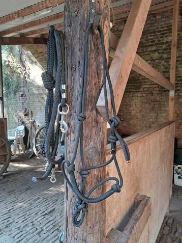 QHP touwhalster, maat Cob, zwart beschikbaar voor biedingen