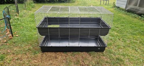 Grote knaagdier flat voor cavia of konijn. Moet weg, Dieren en Toebehoren, Knaagdieren en Konijnen | Hokken en Kooien, Gebruikt