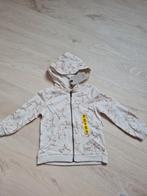 Nieuwe vest van Zara, maat 116, Kinderen en Baby's, Kinderkleding | Maat 116, Meisje, Trui of Vest, Nieuw, Ophalen of Verzenden