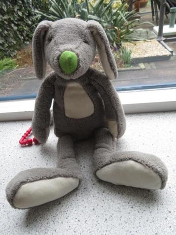 Hond merk Happy Horse naam Grey Max uit 2008 met groene neus beschikbaar voor biedingen