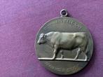 Medaille, Postzegels en Munten, Penningen en Medailles, Ophalen of Verzenden, Overige materialen