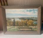 Landschapschilderij Canada gesigneerd, Antiek en Kunst, Ophalen of Verzenden