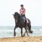 Verzorger gezocht fries., Dieren en Toebehoren, Pony's, Ruin, 7 tot 10 jaar