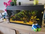Juwel aquarium (zonder inhoud), Dieren en Toebehoren, Vissen | Aquaria en Toebehoren, Ophalen, Leeg aquarium