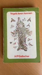 Vogels leren kennen - H.P. Gallacher, Boeken, Ophalen of Verzenden, Vogels