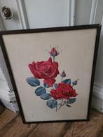Vintage lijst met glas en prent roos, Antiek en Kunst, Ophalen of Verzenden