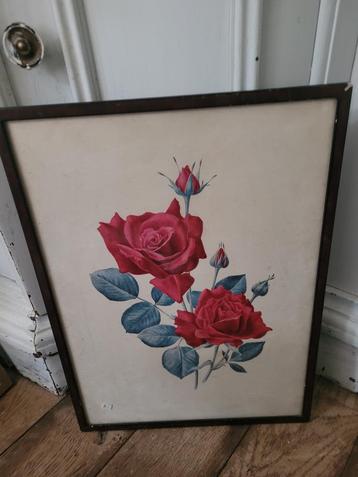 Vintage lijst met glas en prent roos  beschikbaar voor biedingen