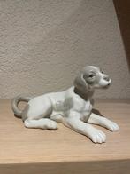 Beeldje Hond - Dog van NAO (Lladro) nieuw, Verzamelen, Beelden en Beeldjes, Ophalen of Verzenden, Nieuw, Dier